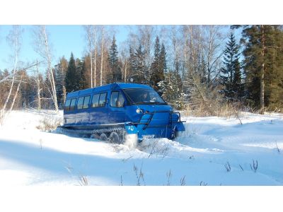 Снегоболотоход 34039 "Ирбис"